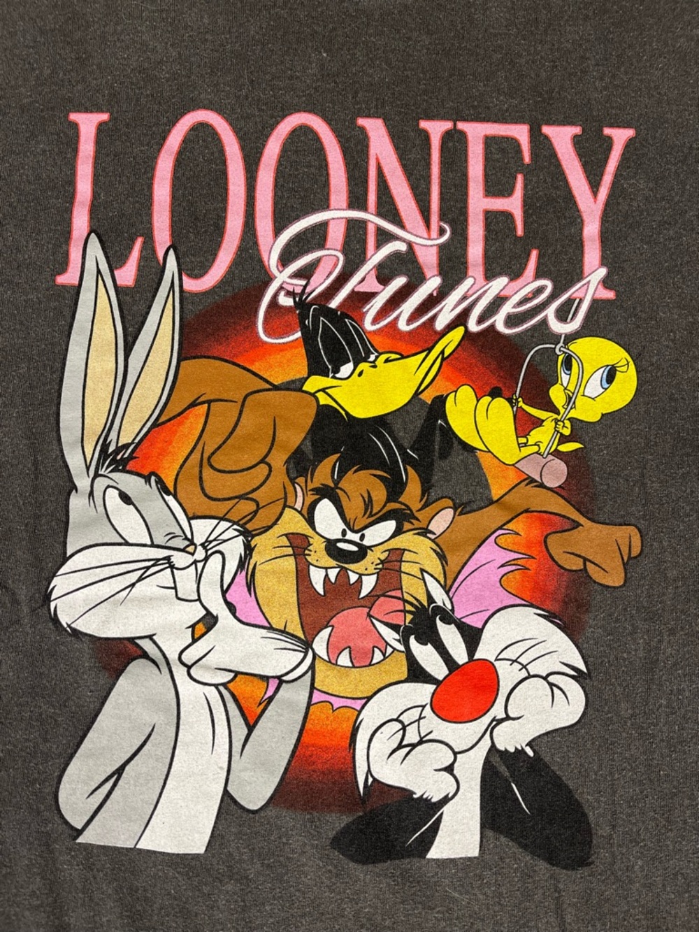 Looney Tunes Gray Characters Graphic T-Shirt Size 3XL